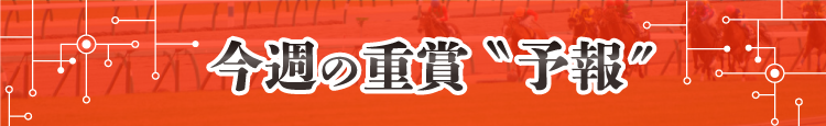 競馬予報Laboの重賞予報
