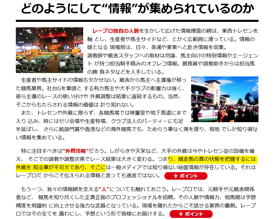 レープロの特徴