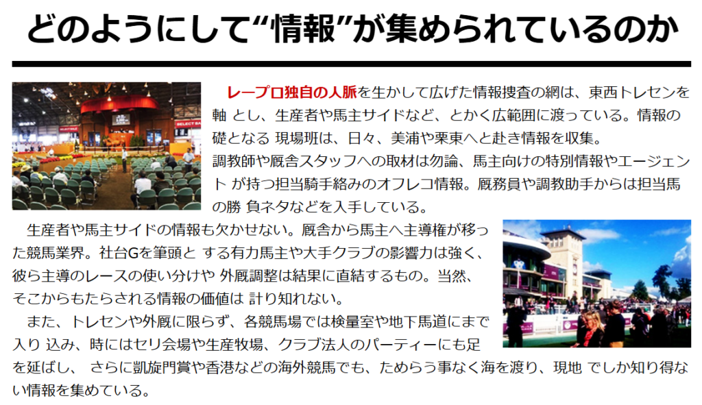 レープロの特徴