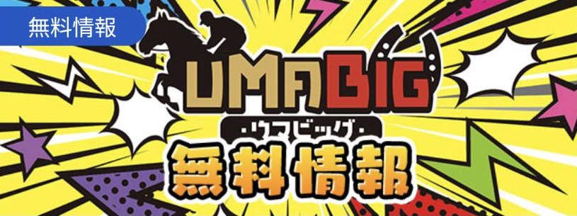 競馬予想サイト「UMABIG」は本物の優良？当たらない悪質？みんけいが検証！