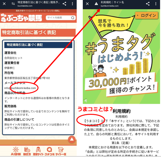 ぶっちゃ競馬の競馬予想サイトに対する検証と評価は本物？捏造？