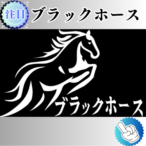 競馬予想サイト「ブラックホース」は本物の優良？当たらない悪質？みんけいが検証！