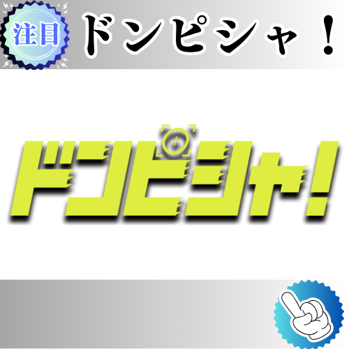 競馬予想サイト「ドンピシャ」は本物の優良？当たらない悪質？みんけいが検証！