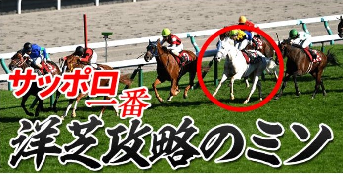 競馬予想サイト「大当たり競馬」は本物の優良?当たらない悪質?みんけいが検証!