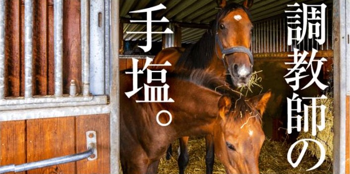 競馬予想サイト「大当たり競馬」は本物の優良?当たらない悪質?みんけいが検証!