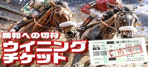 オールウィンの競馬予想は当たらない？口コミ評判や無料予想の検証を公開！