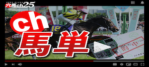 穴馬ch25の競馬予想は当たらない？口コミ評判や無料予想の検証を公開！