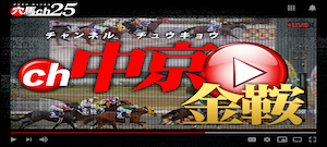 穴馬ch25の競馬予想は当たらない？口コミ評判や無料予想の検証を公開！