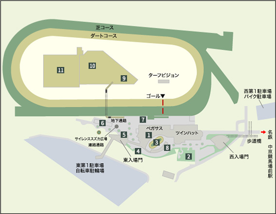 中京競馬場