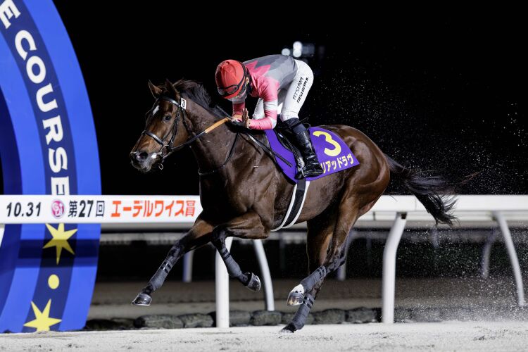 JpnⅢ第28回エーデルワイス賞