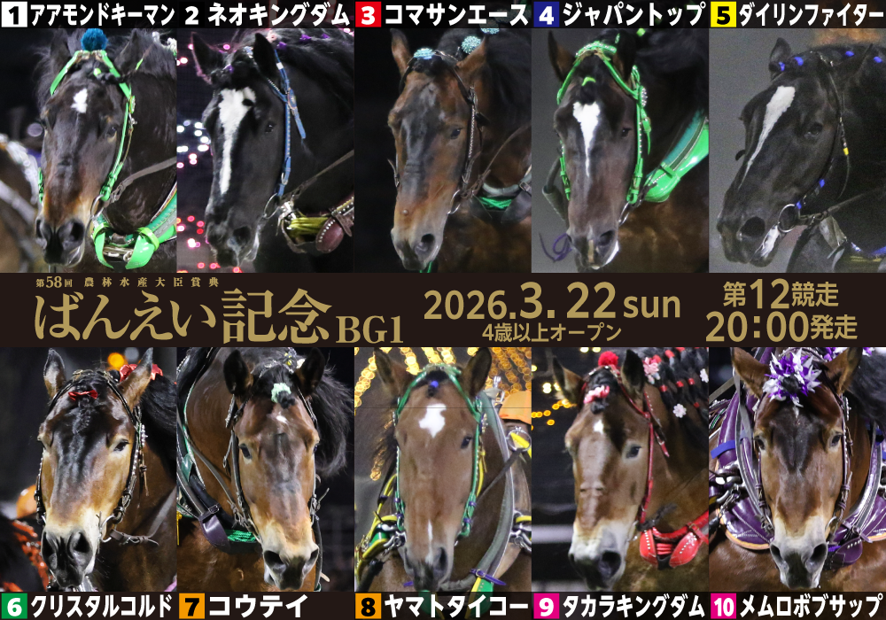 BG1第58回農林水産大臣賞典 ばんえい記念
