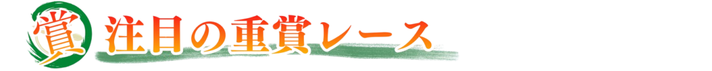 注目のレース