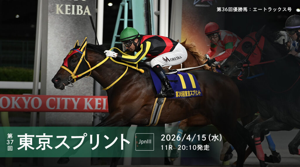 JpnⅢ第37回東京スプリント