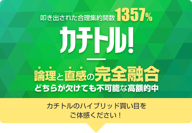 カチトルの特徴