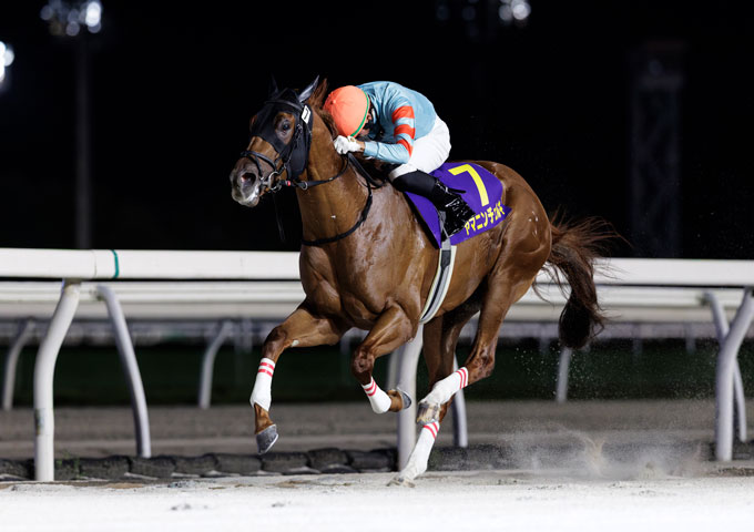 第30回農林水産大臣賞典 日刊スポーツ賞 北海道スプリントカップ（JpnⅢ ）