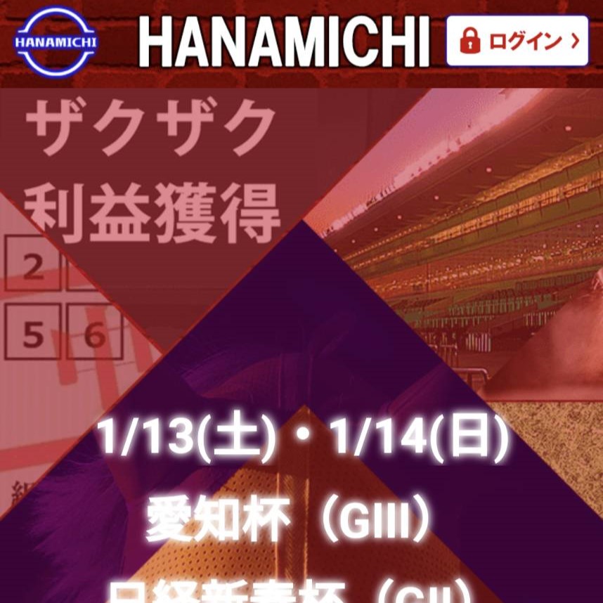 競馬予想サイト「HANAMICHI」