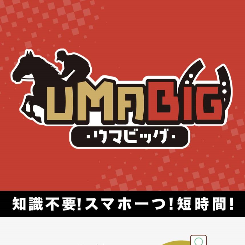 競馬予想サイト「ウマビッグ」はおすすめ？優良なのか悪質なのか？みんけいが調査！